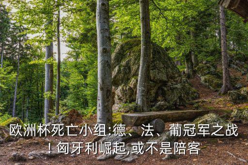 匈牙利和葡萄牙足球,2020歐洲杯葡萄牙匈牙利