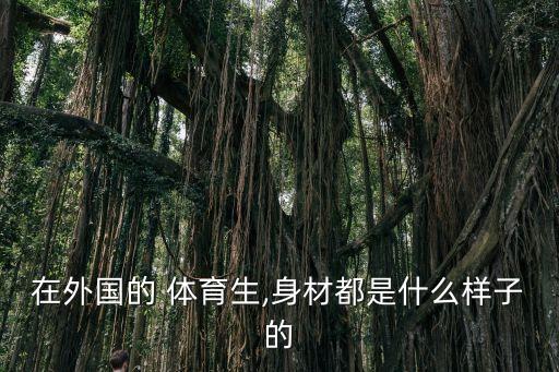體育生足球基情,足球體育生可以考哪些大學(xué)