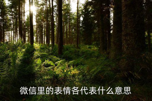 微信里的表情各代表什么意思