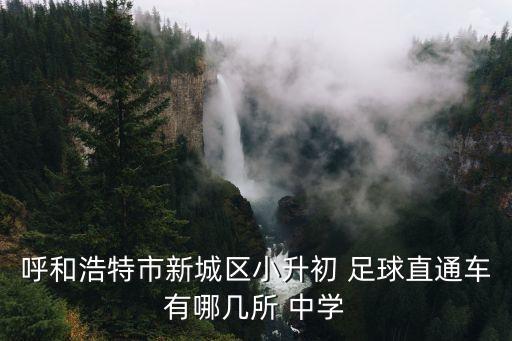 呼和浩特市新城區(qū)小升初 足球直通車(chē)有哪幾所 中學(xué)