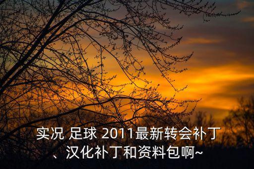  實(shí)況 足球 2011最新轉(zhuǎn)會(huì)補(bǔ)丁、漢化補(bǔ)丁和資料包啊~