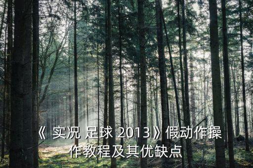 實(shí)況足球2013助威