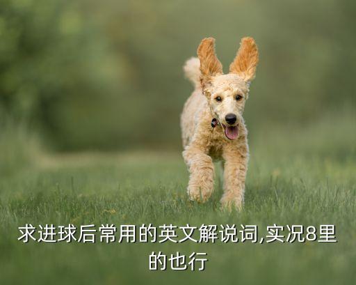 外國(guó)足球解說員都說什么