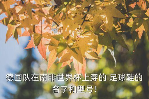copa adidas 足球,adidas足球代言的球星
