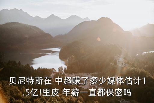 中超足球主教練的年薪,2022年中超主教練年薪榜