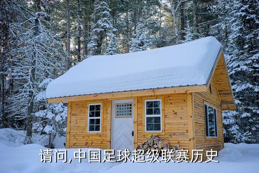 中國(guó)足球隊(duì)后期比賽