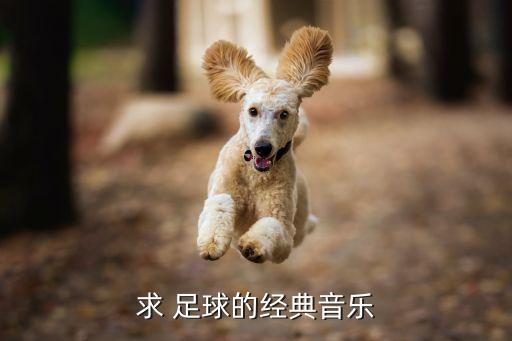 求 足球的經(jīng)典音樂