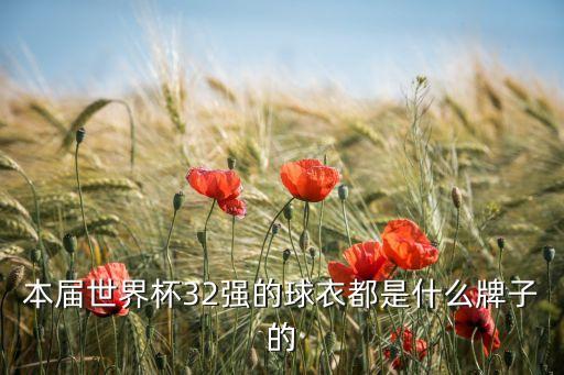 中國足球聯(lián)賽隊服,中國青少年足球聯(lián)賽
