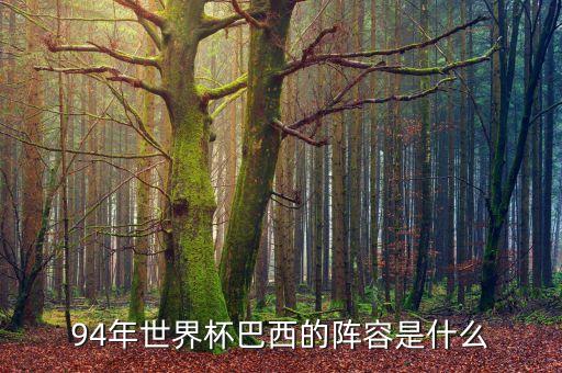 實(shí)況足球2013阿德里安阿比奧特