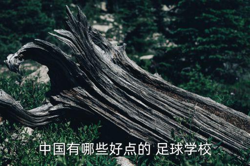 中國有哪些好點的 足球?qū)W校