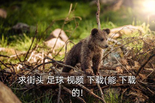 求街頭 足球 視頻 下載(能 下載的!