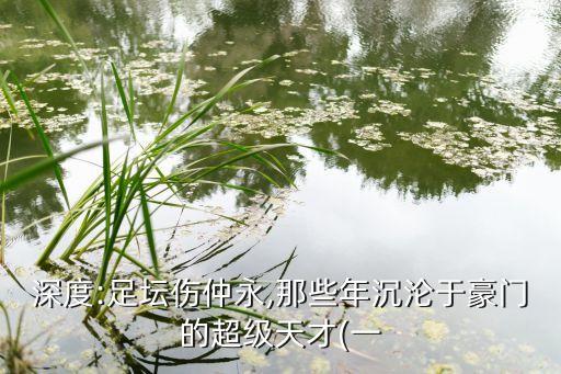 深度:足壇傷仲永,那些年沉淪于豪門(mén)的超級(jí)天才(一
