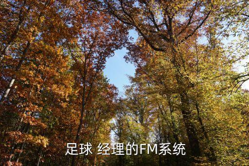  足球 經(jīng)理的FM系統(tǒng)