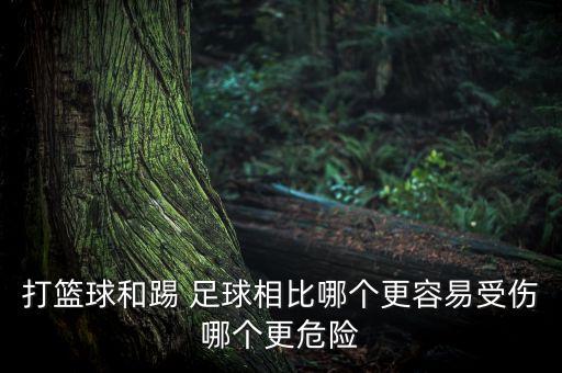 打籃球和踢 足球相比哪個(gè)更容易受傷哪個(gè)更危險(xiǎn)