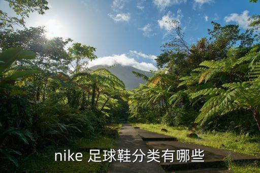 nike 足球鞋分類有哪些