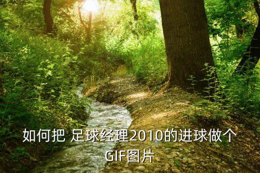 足球gif素材,電視無(wú)信號(hào)素材GIF