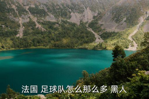 法國 足球隊怎么那么多 黑人