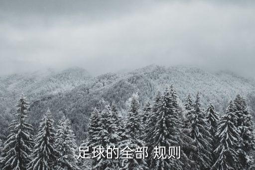  足球的全部 規(guī)則