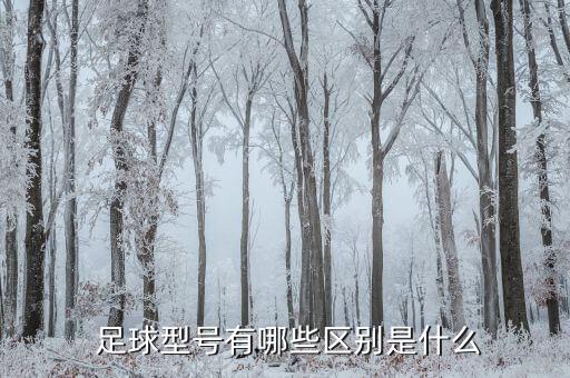  足球型號有哪些區(qū)別是什么
