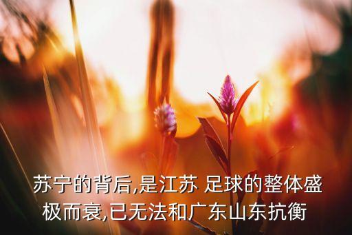  蘇寧的背后,是江蘇 足球的整體盛極而衰,已無法和廣東山東抗衡