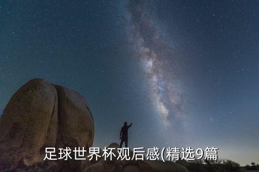  足球世界杯觀后感(精選9篇