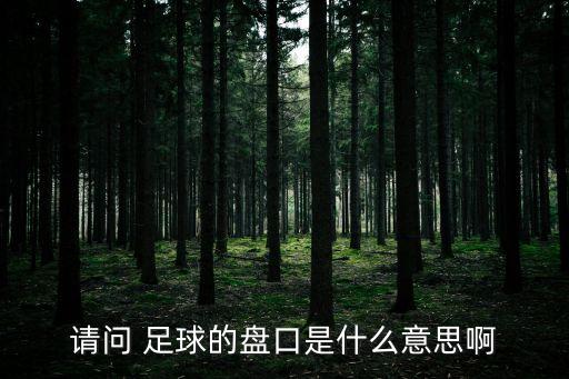 如何看足球盤囗,足球盤囗水位app