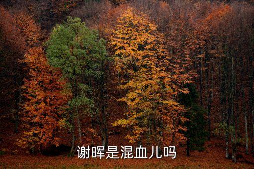 足球俱樂部助理,拉科魯尼亞足球俱樂部