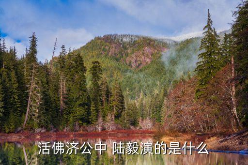 活佛濟(jì)公中 陸毅演的是什么