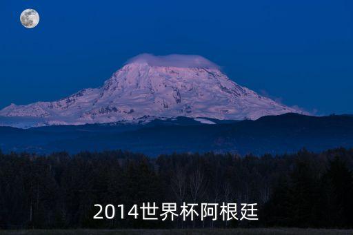 2014世界杯阿根廷