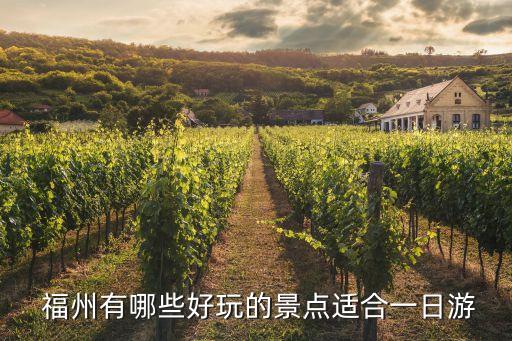 福州沙灘公園足球場(chǎng),福州花海公園足球場(chǎng)