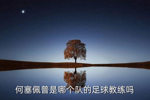 何塞佩普是哪個隊(duì)的足球教練嗎