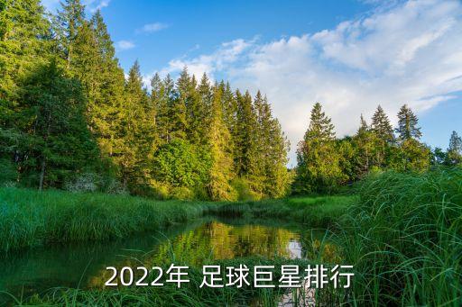 2022年 足球巨星排行