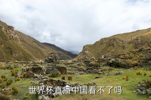世界杯直播中國(guó)看不了嗎