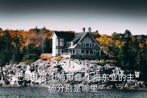  上海申花 上海申鑫 上海東亞的主場分別是哪里