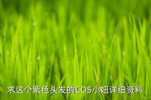 求這個(gè)紫色頭發(fā)的COS小妞詳細(xì)資料