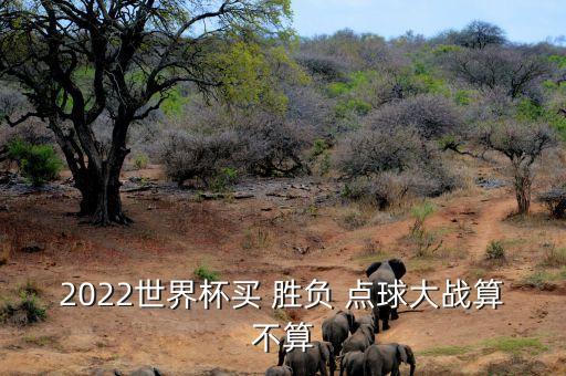 2022世界杯買 勝負(fù) 點(diǎn)球大戰(zhàn)算不算