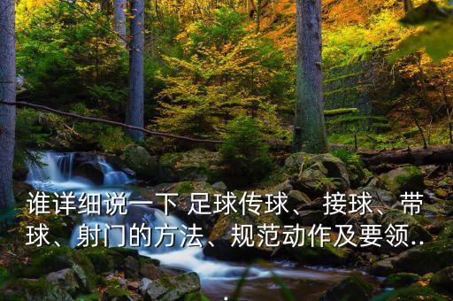 誰(shuí)詳細(xì)說(shuō)一下 足球傳球、 接球、帶球、射門的方法、規(guī)范動(dòng)作及要領(lǐng)...