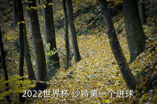 足球?yàn)趵绾蜕程匾曨l