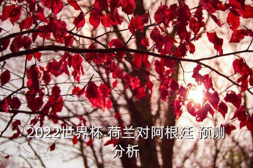 2022世界杯 荷蘭對阿根廷 預(yù)測分析