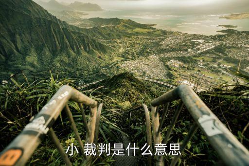 小 裁判是什么意思