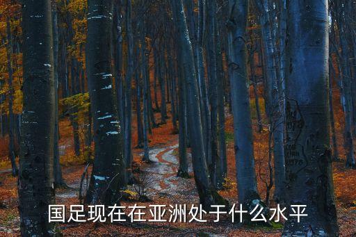 國足現(xiàn)在在亞洲處于什么水平