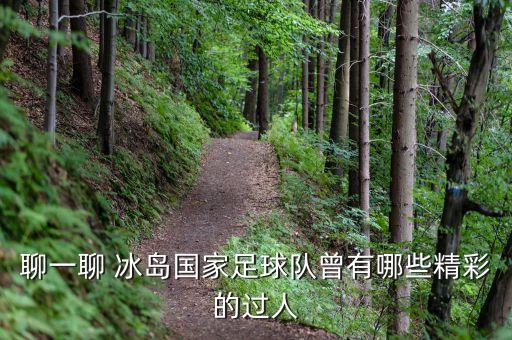 聊一聊 冰島國家足球隊曾有哪些精彩的過人