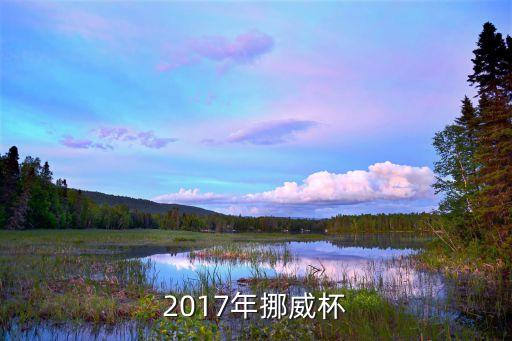 青少年足球賽 開幕,國際友好城市青少年足球賽