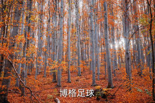 博格足球