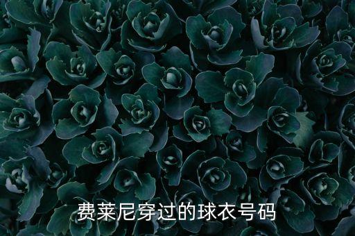 費(fèi)萊尼穿過的球衣號(hào)碼