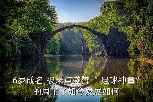 花式足球之神,足球之神一般的前鋒 小說(shuō)