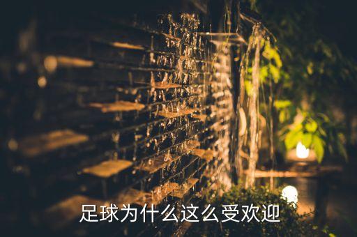  足球?yàn)槭裁催@么受歡迎