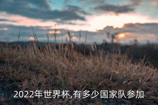2022年世界杯,有多少國家隊(duì)參加