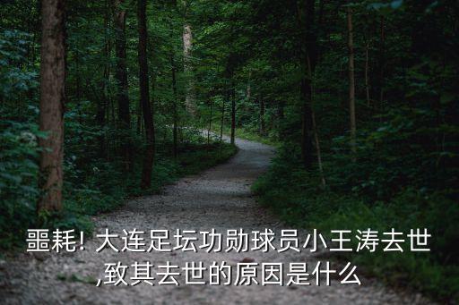 噩耗! 大連足壇功勛球員小王濤去世,致其去世的原因是什么