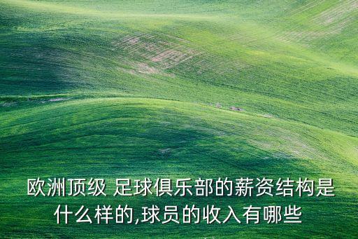  歐洲頂級(jí) 足球俱樂(lè)部的薪資結(jié)構(gòu)是什么樣的,球員的收入有哪些